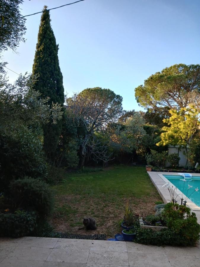 Studio Charmant Et Calme Villeneuve Les Avignon Entree Et Cour Independantes Climatisation Piscine Parking Екстер'єр фото