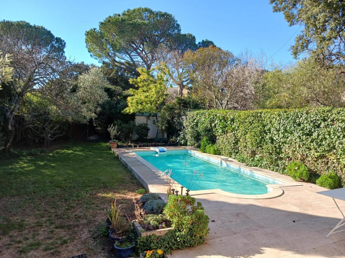 Studio Charmant Et Calme Villeneuve Les Avignon Entree Et Cour Independantes Climatisation Piscine Parking Екстер'єр фото